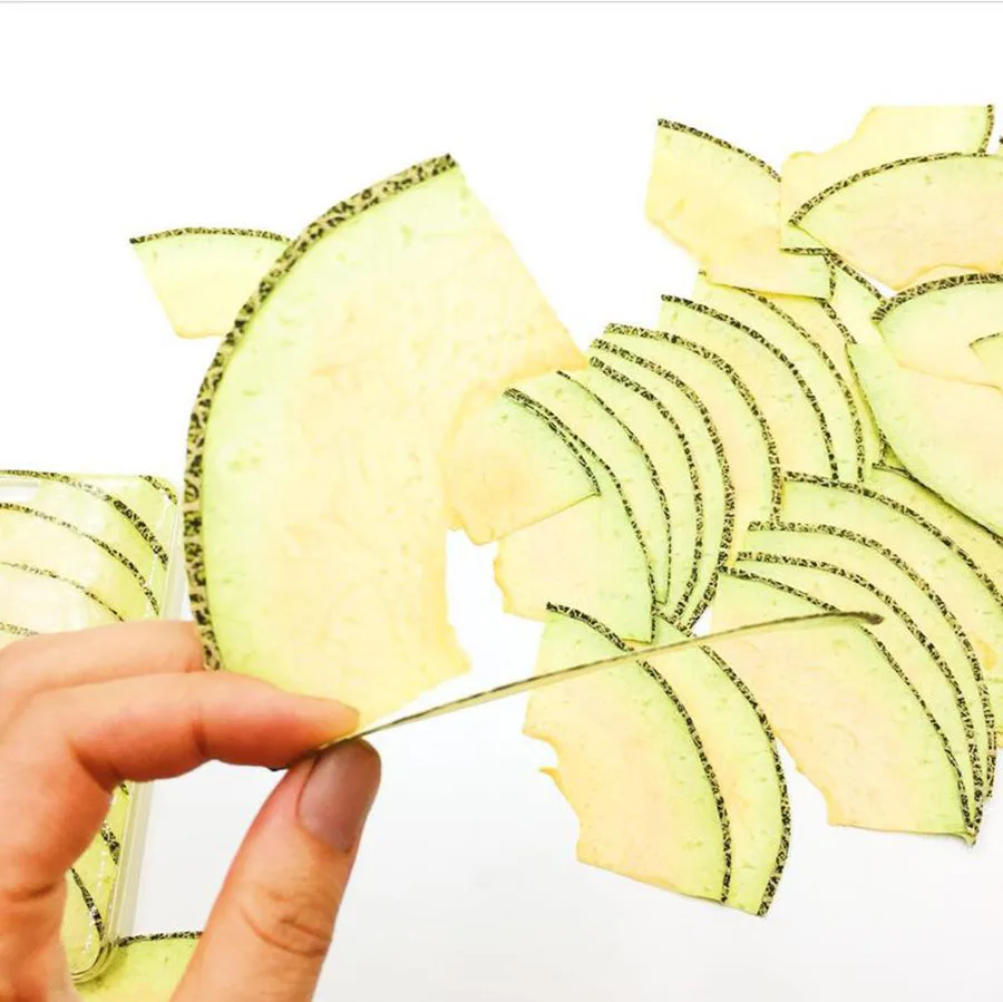 Dried Flower Bookmark - 5pcs Dried Pressed Cantaloupe Slices Plant
